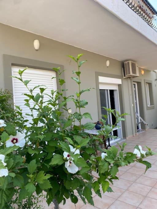Ilisia Neapoli Apartments 1 Neápolis Buitenkant foto