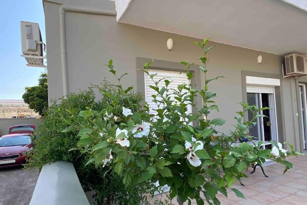 Ilisia Neapoli Apartments 1 Neápolis Buitenkant foto